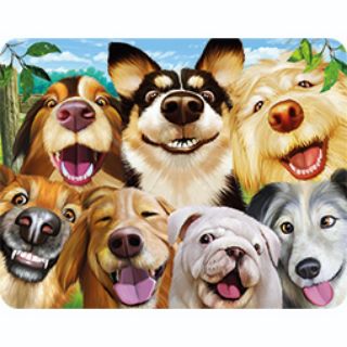Obrázek z Magnet 3D 7x9cm - psí úsměvy (25) 